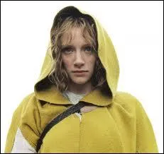 Cette hroine  la cape jaune, joue par Bryce Dallas Howard, se promne dans quel film ?