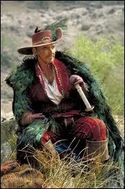 Cette superbe cape, en plumes de paon, est un costume du film ?