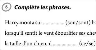 Compltez correctement : 'O est ... tlcommande ? O ... -tu mise ? Je l'avais pose ... ! '