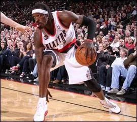 Qui est cet ailier, All-Star en 2010, meilleur intercepteur NBA en 2006 et ancien joueur des Charlotte Bobcats ?