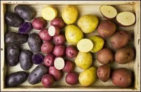 Pommes de terre cuites  l'eau avec leur peau, fleur de sel, beurre frais...