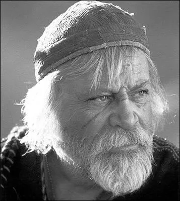 Quel est le nom de l'acteur qui interprte l'ancien gladiateur devenu ngociant et riche propritaire dans une province romaine recule ?