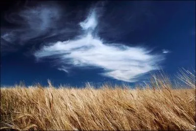 O se trouve la maison de Maximus ?