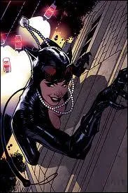 Pourquoi Catwoman est-elle recherche par la police ?