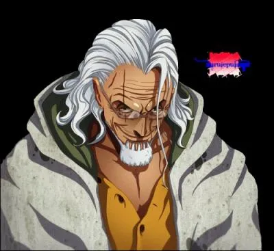 Qui va entraner Luffy ?