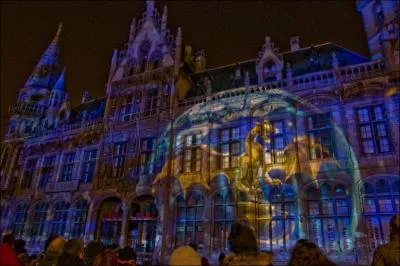 Cette chauve souris est repr�sent�e dans un spectacle 'Sons et lumi�res' !