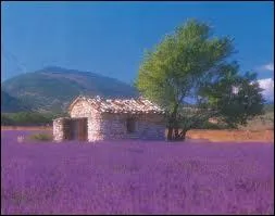 Quel journal est voqu par cette belle photo ?