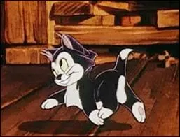 A quel quotidien ce petit chat de Disney vous fait-il penser ?