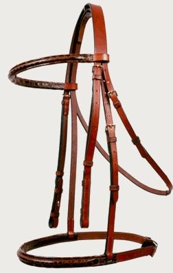Quiz Equitation
