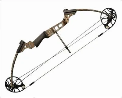 Quel type d'arc reprsent sur l'image...