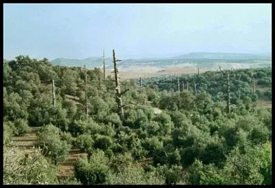 Quel est l'un des plus grand parc naturel d'Afrique du Nord ?