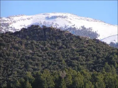 Comment se distinguent ces 'deux' Aurs ?