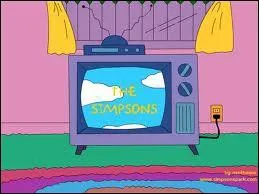 Quel(s) personnage(s) est(sont) dj pass(s)  la TV (Dans le dessin anim) ?