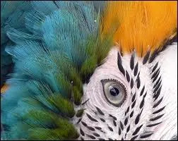 Cet il est sublime, à qui appartient-il ?