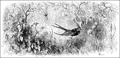 A qui est associe l'hirondelle dans la fable de La Fontaine qui dit en morale : 'L'adroit le vigilant et le fort sont assis  la premire et les petits mangent leur reste  la seconde' ?