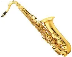 (Musique) Quel est le nom de cet instrument ?