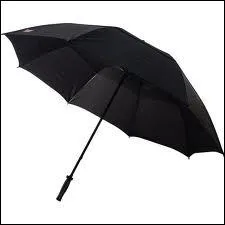 (Anglais) Comment dit-on 'parapluie' en anglais ?