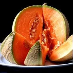 Lequel de ces types ne fait pas partie de la famille des melons ?