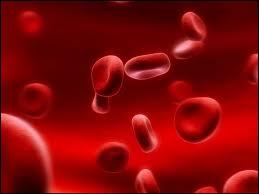 Comment nomme-t-on en termes mdicaux les globules rouges ?