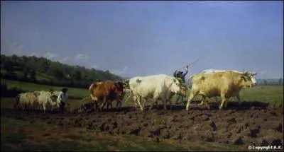 Labourage nivernais dit aussi Le sombrage