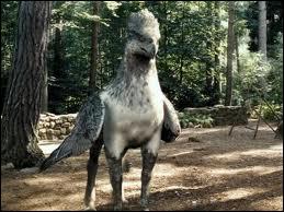 Quel est le nom de cet animal ?