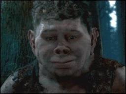 Quel est le nom de cette crature ?