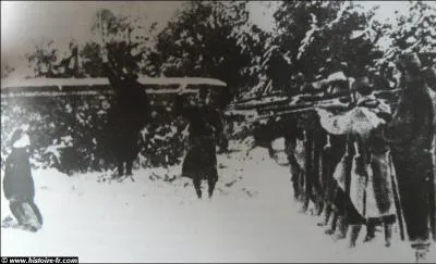 Quelle grande bataille causa les terribles mutineries de 1917 ?