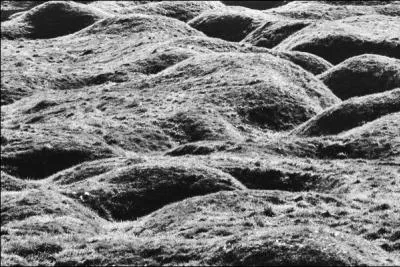 Quel vnement dclenche la bataille de la Somme ?