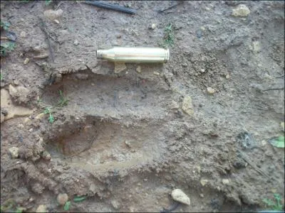 A quel animal appartient cette empreinte ?