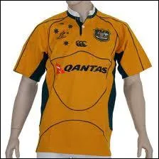 Le wallaby est un animal emblématique de l'équipe de rugby...