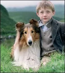 8 films et 4 sries tlvises ont t consacres  Lassie. Quand est-elle apparue sur nos crans pour la premire fois ?