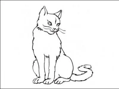 Quel est l'apprenti de Vif-Argent ?