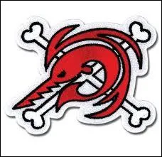 A qui appartient cet emblme de pirate ?