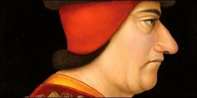 Quel roi mettait les gens en cage ?