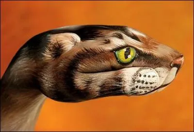 Vous allez srement deviner qui est cet animal !