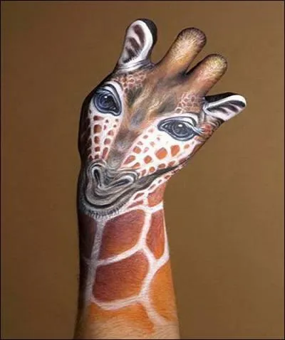 Elle a sept vertbres, comme nous !