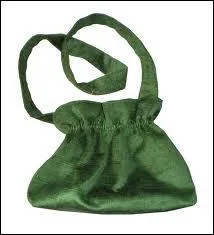 Quelle est la couleur de ce sac ?