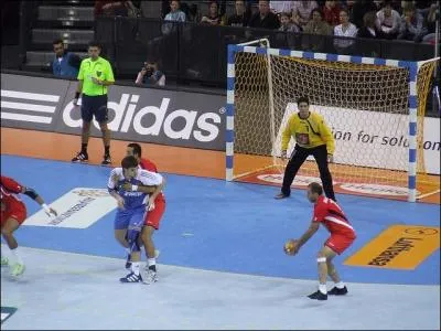 Dans quel pays s'est droul l'Euro 2012 de handball, du 15 au 29 janvier ?
