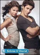Quel lien ont Selena Gomez et David Henrie dans une srie ?