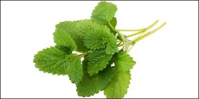 Dans quel plat met-on de la mélisse ?