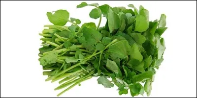 Dans quel plat utilise-t-on le cresson de fontaine ?