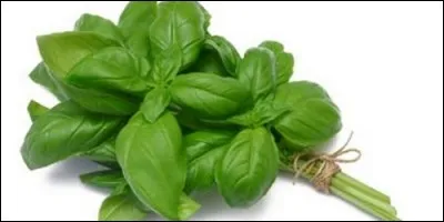 Dans laquelle de ces soupes utilise-t-on le basilic ?