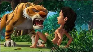 Quel est ce dessin anim ?