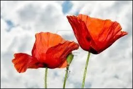 Il est tmoin d'une union qui dure si le couple arrive  fter :