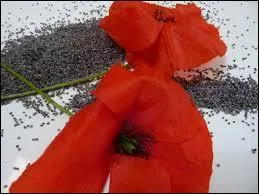 Que met-on dans la ptisserie pour la parfumer ?