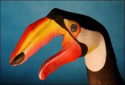 Multicolore, il survole la jungle amazonienne !