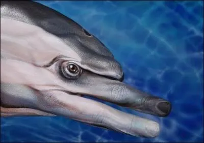 La lgende veut qu'il sauve les naufrags !