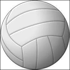 Dans quel sport utilise-t-on cet objet ?