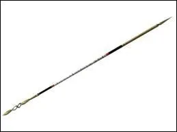 Dans quel sport utilise-t-on cet objet ?