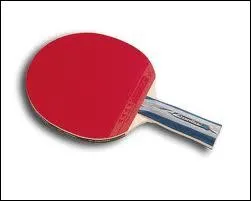 Dans quel sport utilise-t-on cet objet ?